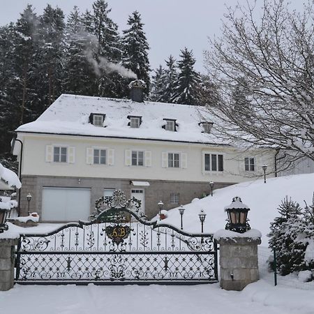 Schwarwald Apartment Schluchsee Exterior foto